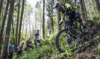 Tourisme vert à Guebwiller le projet de pistes de VTT enduro mis en  question