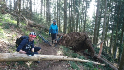 Les VTTistes Patrouilleurs de la MBF et sympathisants sortent du bois à Thann